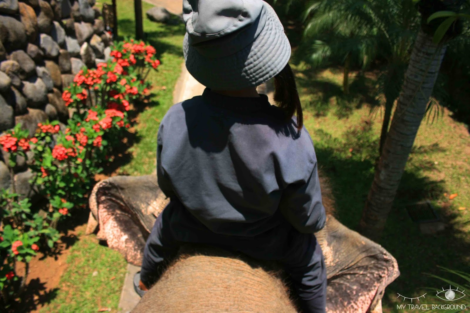 My Travel Background : 6 choses à faire à Ubud, au centre de Bali - Rencontre avec les éléphants au Zoo de Bali