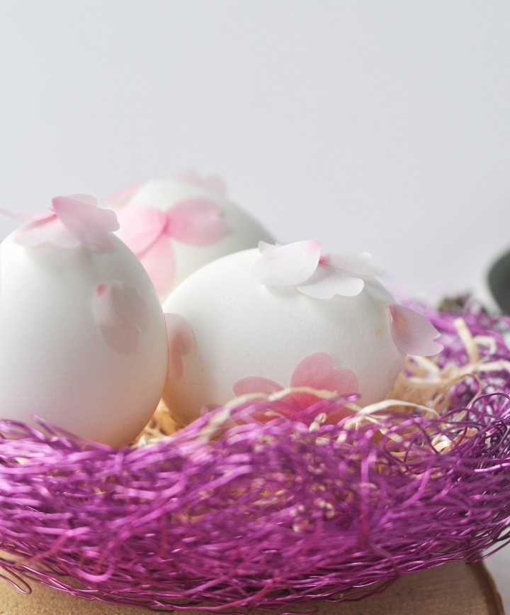 DIY Easter Eggs with cherry flower petals - delicate and simply beautiful