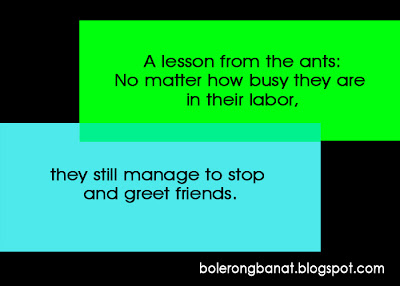 A lesson from the ants