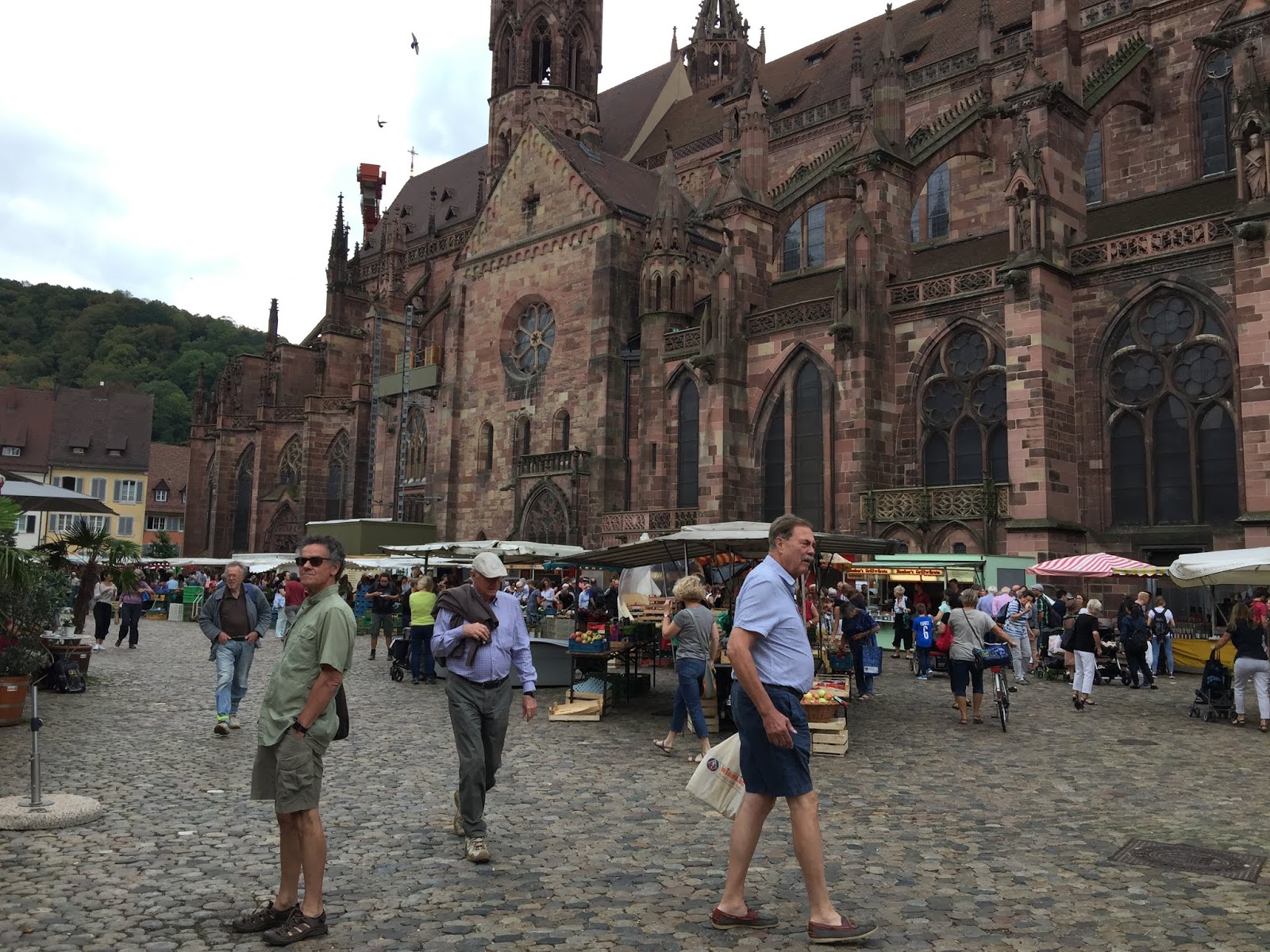 Stocker Dewes Architekten A F A S I A