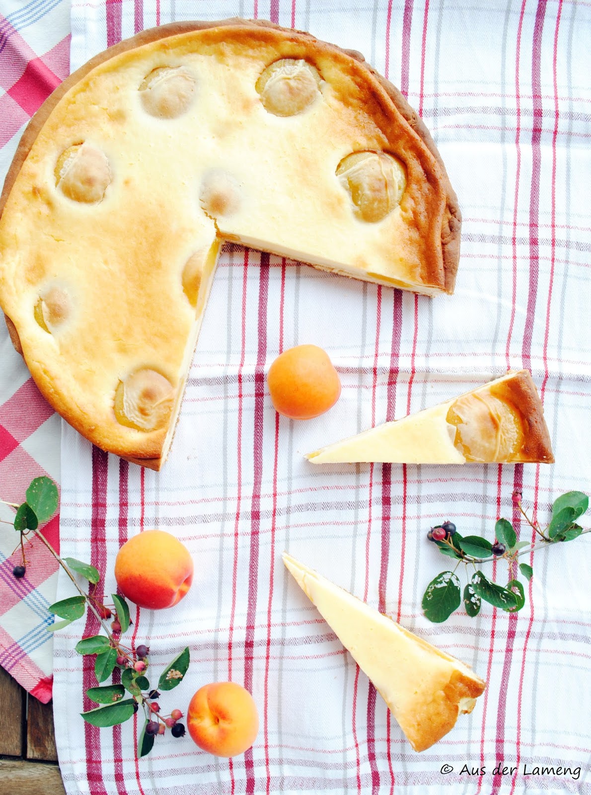 Rahmkuchen mit Aprikosen – Aus der Lameng