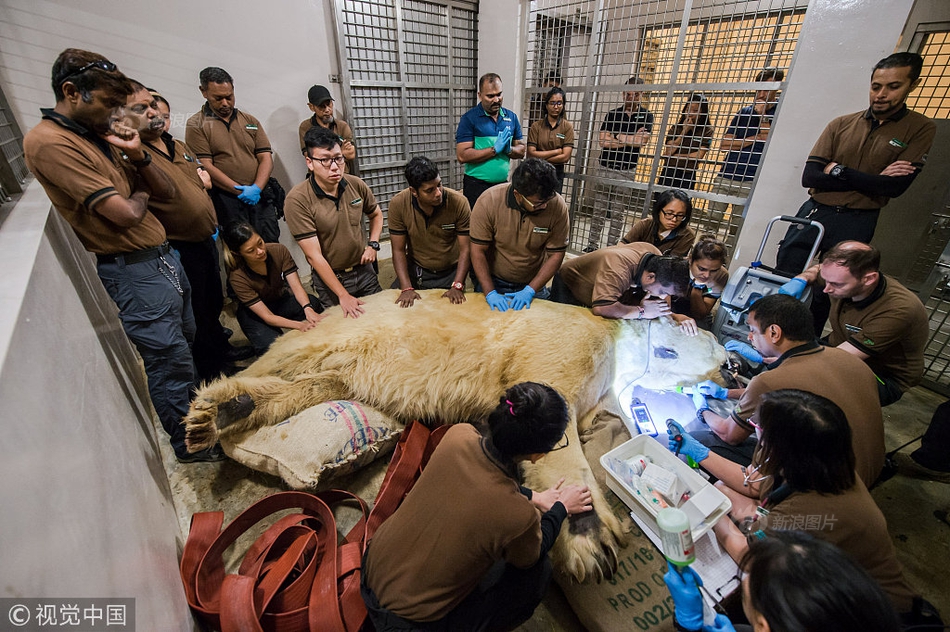 Singapore has released pictures showing the last moments of polar bear Inuka before he passed away.