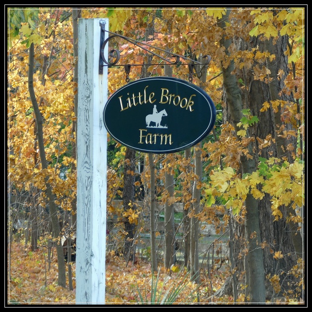 Little Brook Farm Where It's All About Second Chances Life As I See It