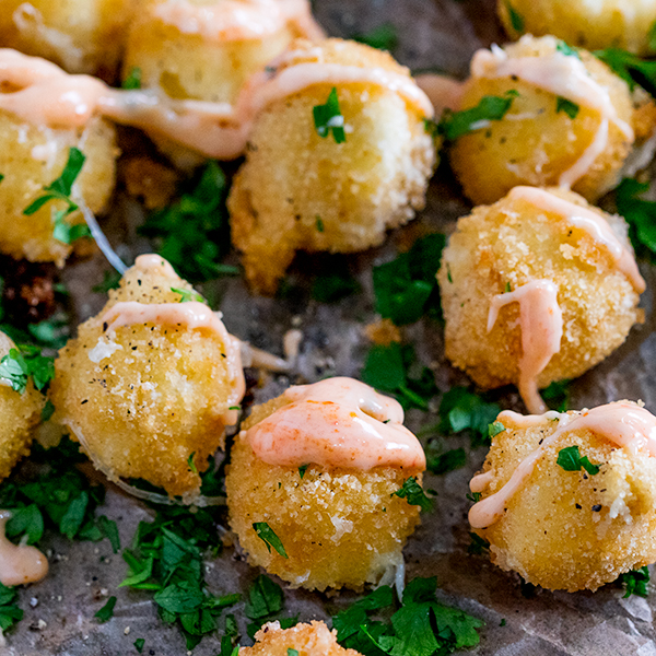 Crispy Mozzarella Bites Crispy Mozzarella Bites