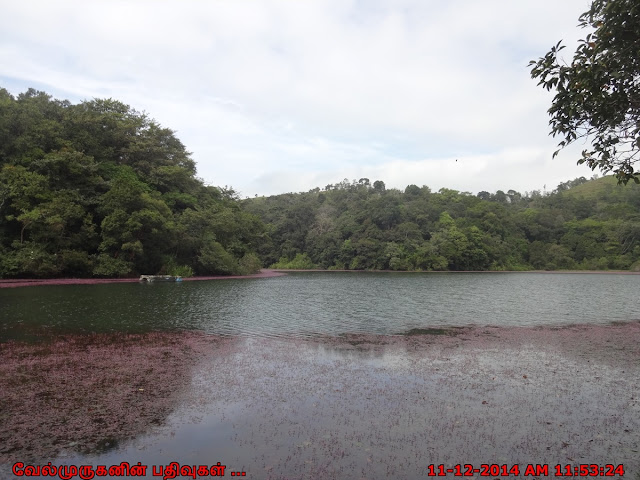 Wayanad Scenic Lakes - Pookode Lake