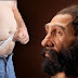 Yağlı bir göbeğin sebebi Neandertal atalarımız olabilir mi?