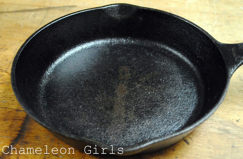 Chameleon Girls Seasoning a Cast Iron Skillet