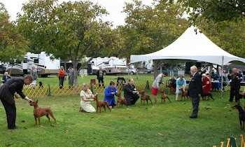 The winners!  GPCA National weekend--Foxy is WB, BOW