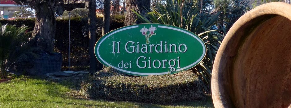 Le news del Giardino dei Giorgi 