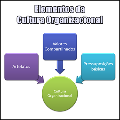 Elementos da Cultura Organizacional