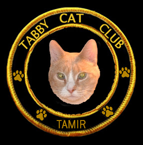 Tamir's Badge
