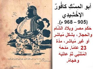    كافور الاخديشي و اعتلاؤه السلطة في مصر  3
