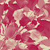 A Thousand Roses