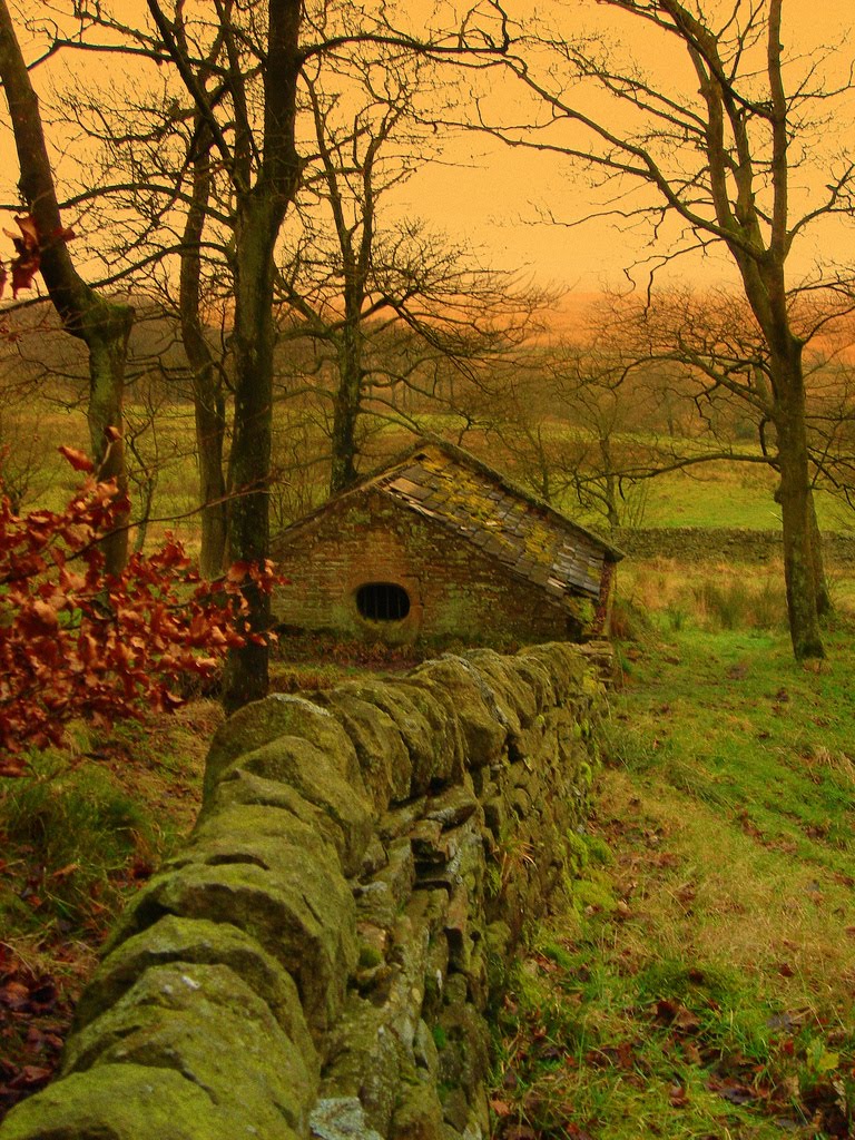 A Beautiful Mess Ancient Stone Fence, Lancashire, England