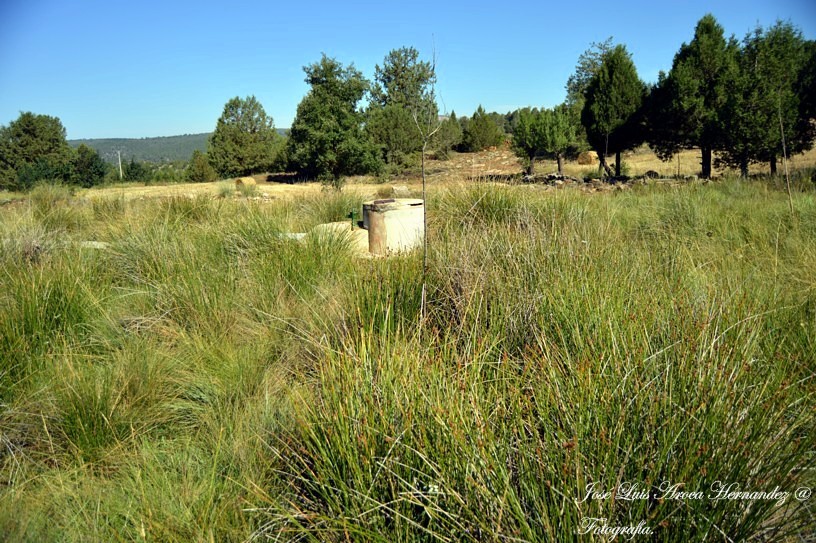 Memoria gráfica de España. Campillos Paravientos (Cuenca).