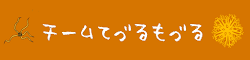 チームてづるもづる