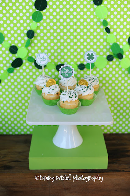 Kara s Party Ideas St  Patrick s Day Birthday Party  - 8