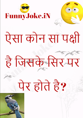 Aisa Konsa Pakshi Hai Jiske Sir Par Pair Hote Hai ? Aisa Konsa Pakshi Hai Jiske Sir Par Pair Hote Hai ?