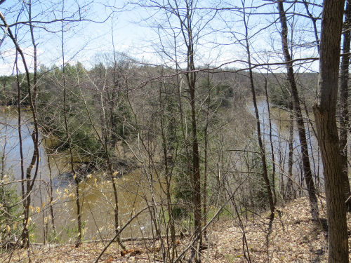 Manistee River oxbow