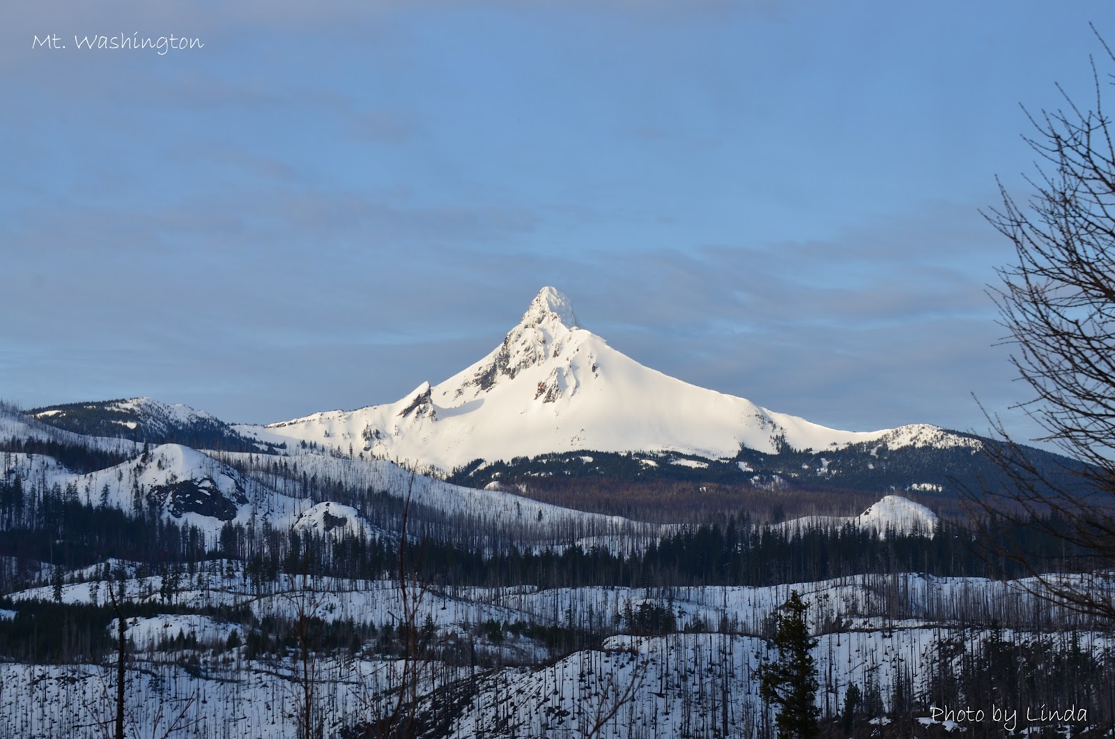 Oregon through my eyes Santiam Pass