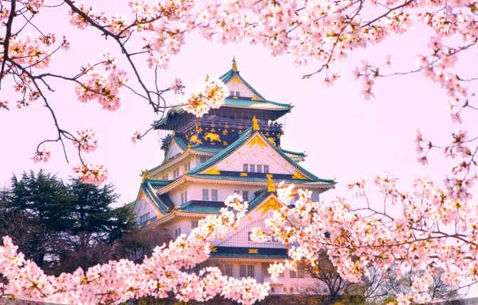 Japan Travel Package Philippines Japan Travel Package Philippines