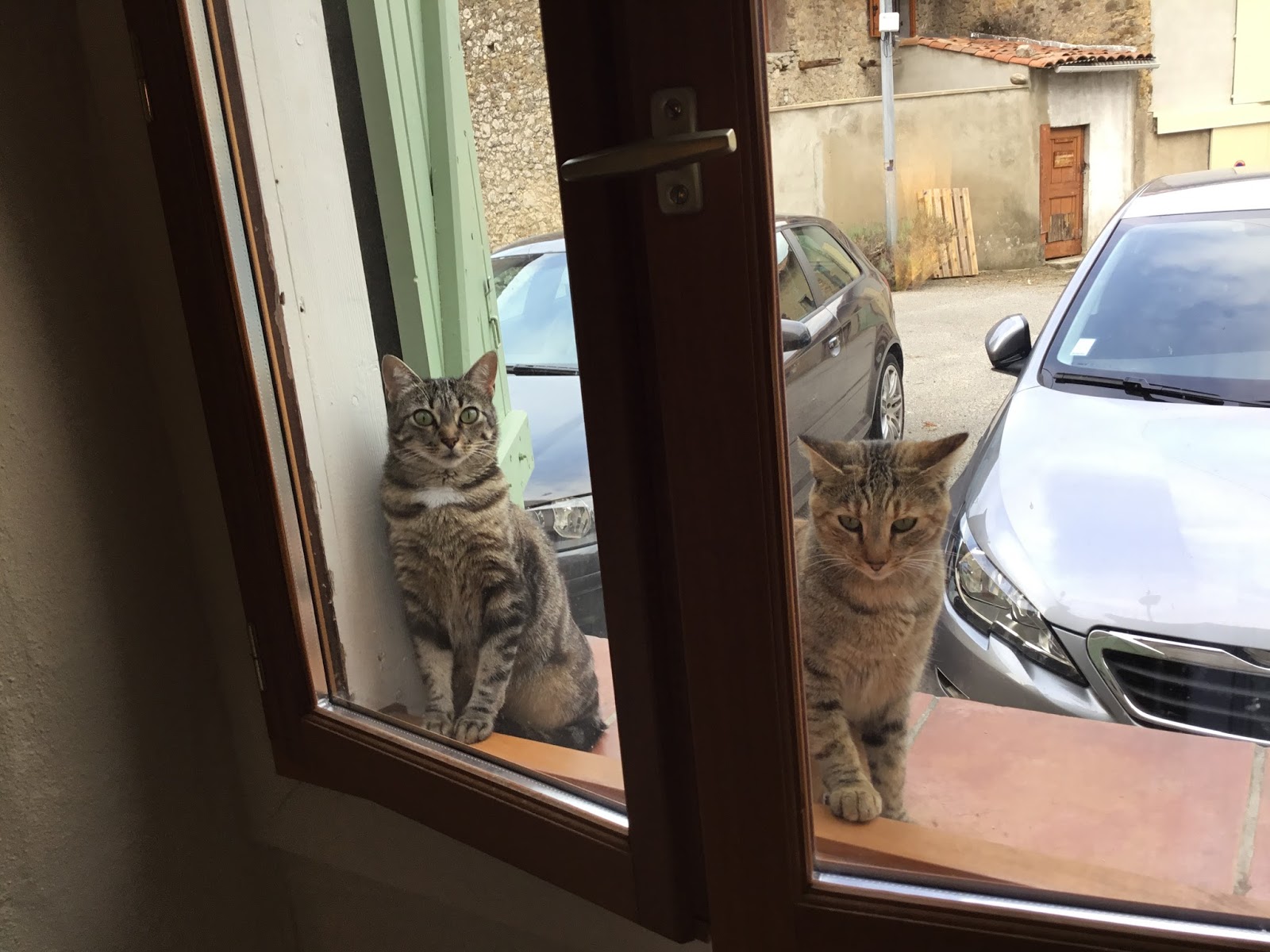 Ari ge Adventure 2017