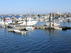 Public and Fishing Dock