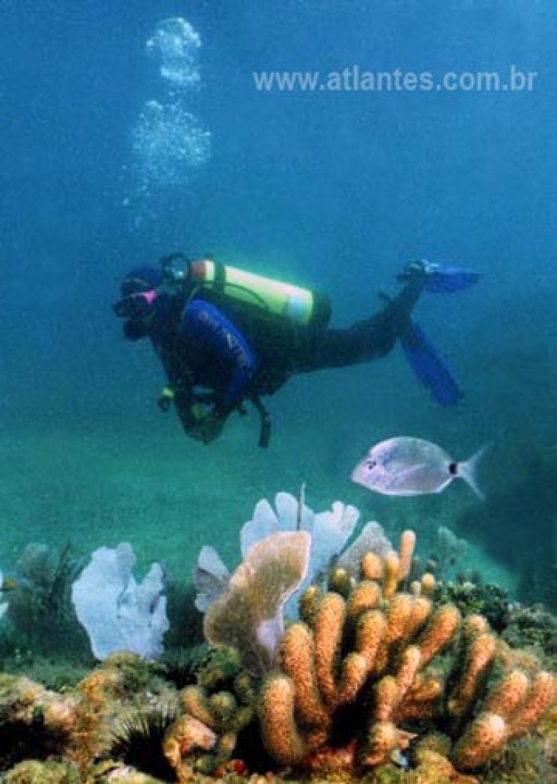 Lugares para conhecer no Espírito Santo - Três Ilhas - Guarapari - Tamaravilhosamente