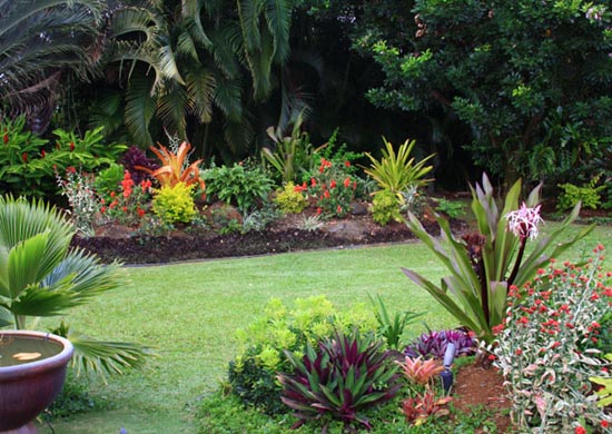 Home And Garden Design: Small Tropical Garden Ideas