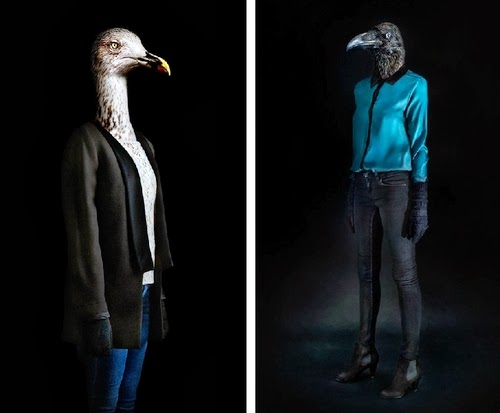 10-Raven and Seagull-Miguel-Vallinas-Segundas-Pieles-Second-Skins-Smartly-Dressed-Animals-www-designstack-co