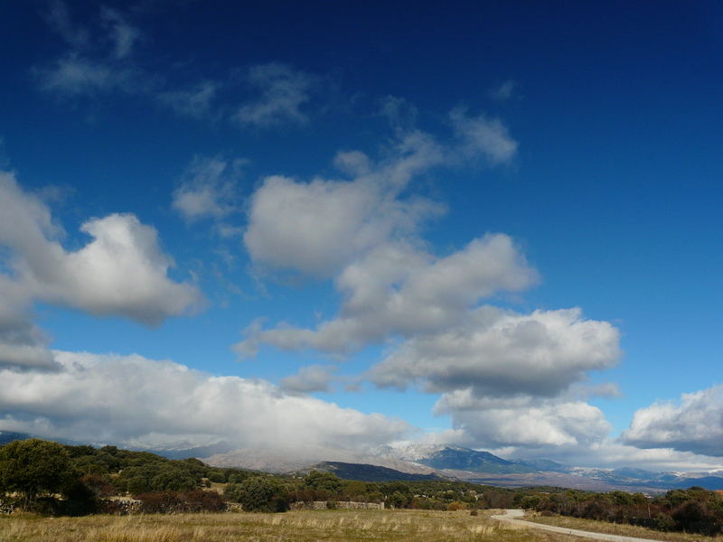 Con Esencia: Como en el viento...