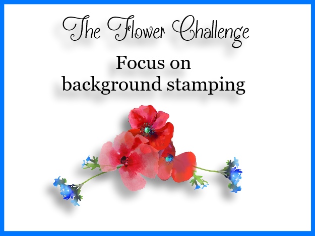the flower challenge the flower challenge 11 focus on