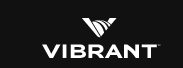 Vibrant In-Image Ad vibrant-In-Image-Ad