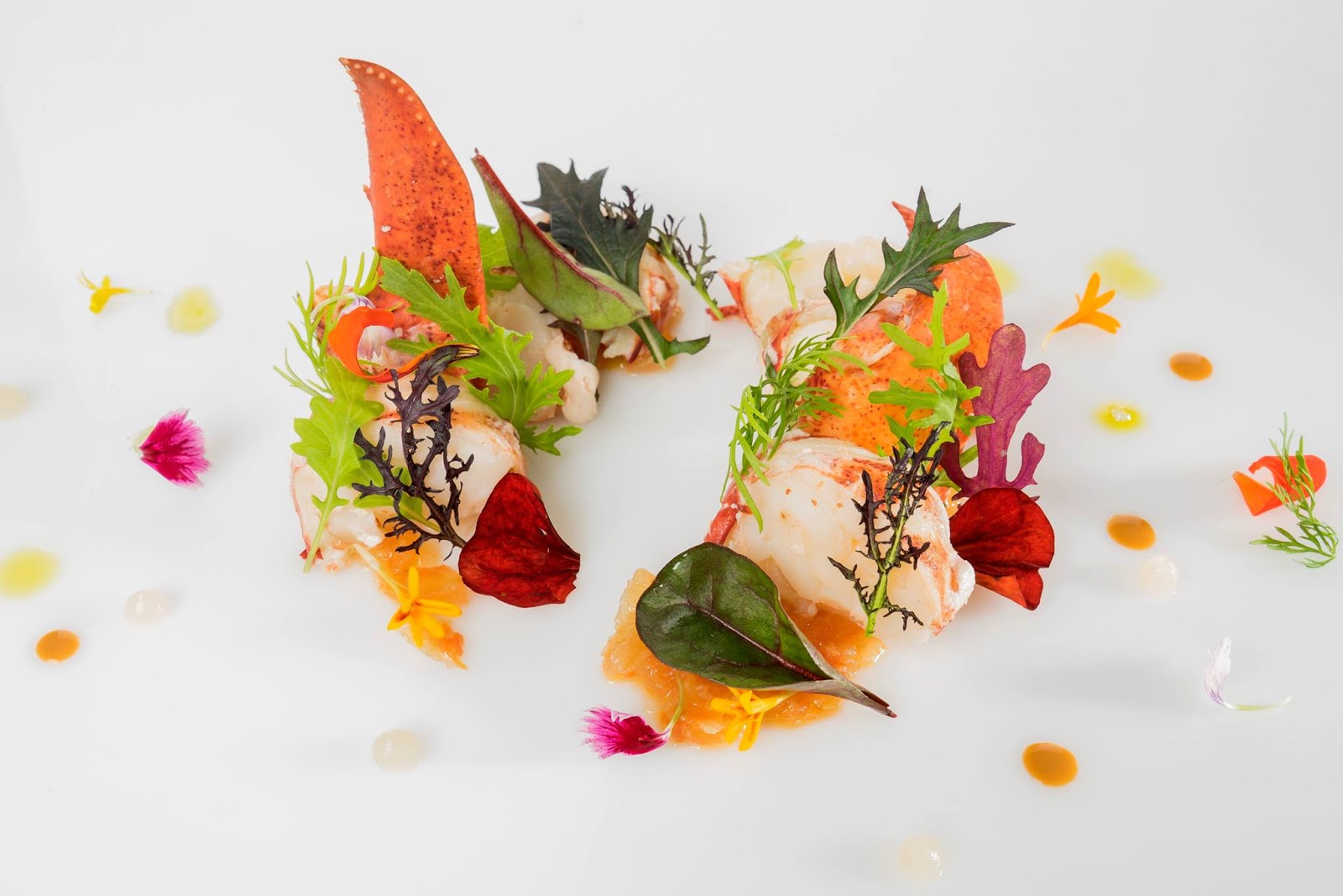 Mari Carmen Chef For Which Restaurant In Nyc Mari Carmen Chef For Which Restaurant In Nyc