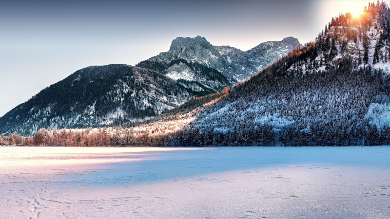 Dreamy Winter Landscape