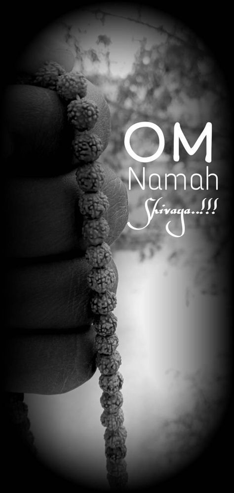 om namah sivaya