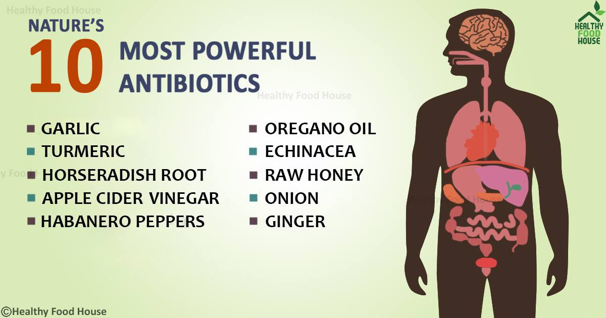 10 Most Powerful Natural Antibiotics Known to Mankind