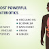 10 Most Powerful Natural Antibiotics Known to Mankind