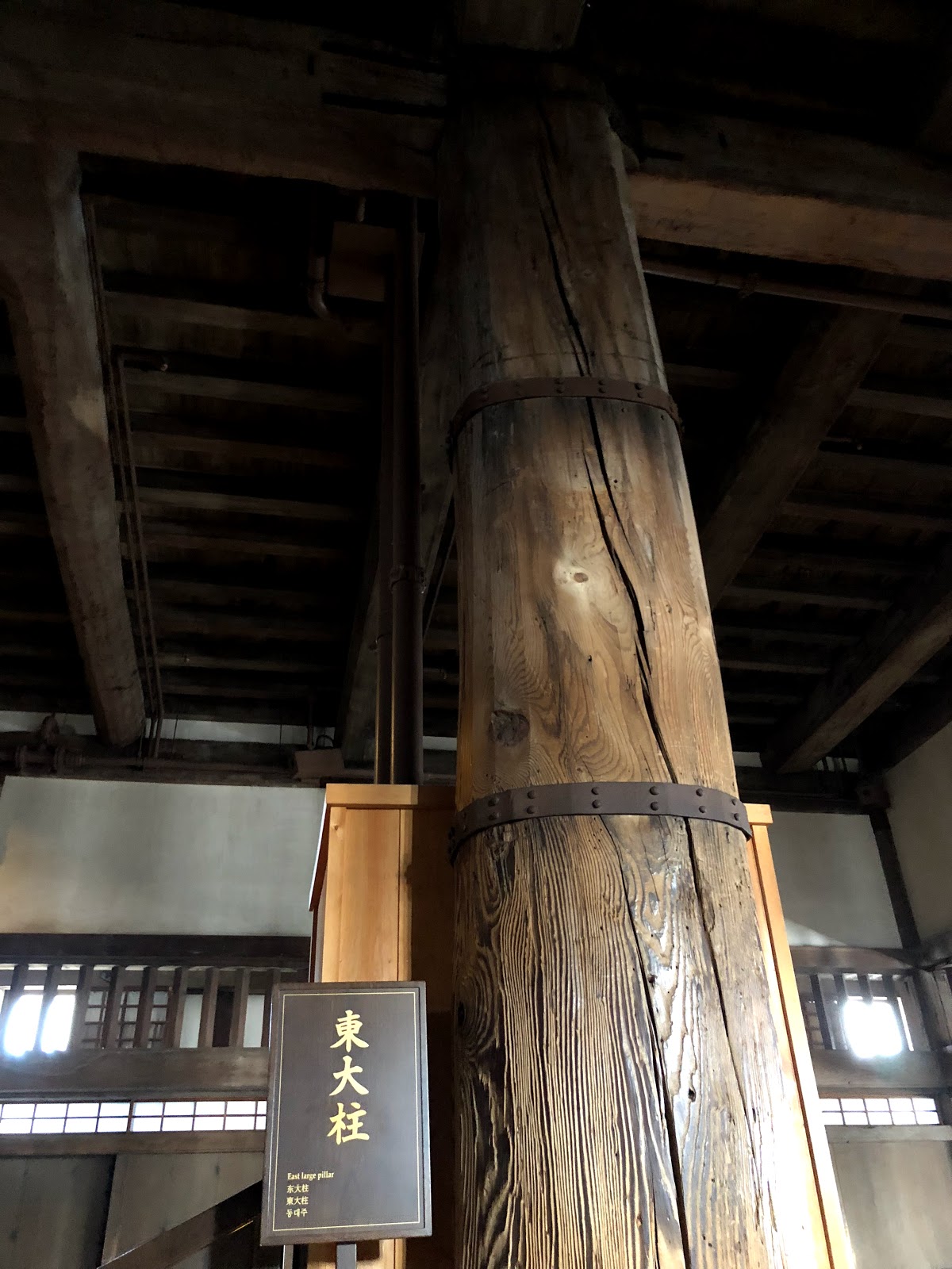 跪婦醫師娘之重出江湖 秋遊日本姬路城
