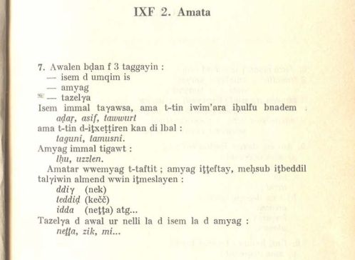 tajṛṛumt ⵜⴰⵊⵕⵕⵓⵎⵜ