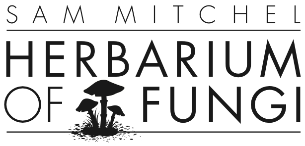 Sam Mitchel Herbarium of Fungi