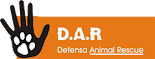 D.A.R.