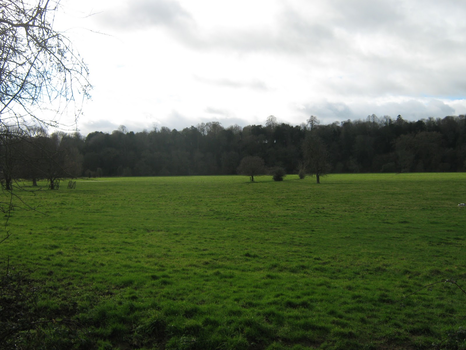 The Crown Estate Proposed Housing Development In Blandford&... Gone