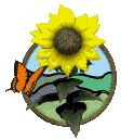 img-borboleta-e-o-gira-sol.gif