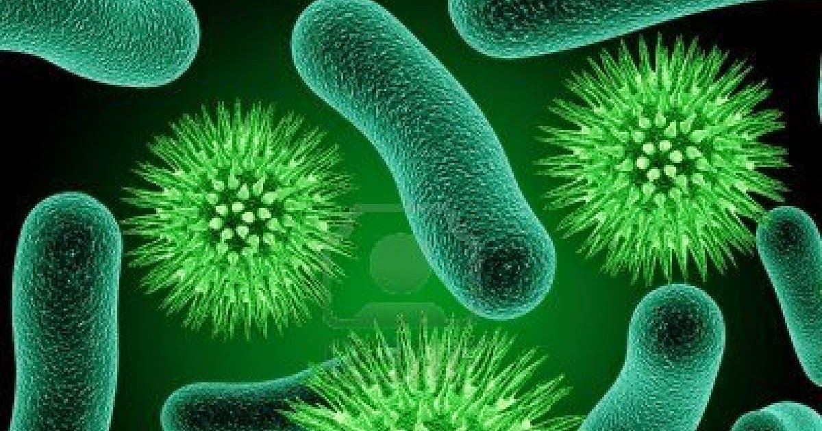 Makalah Mikrobiologi Bakteri || Materi Sekolah || Materi Biologi