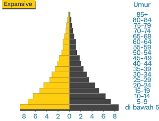 piramida-penduduk-muda-expansive