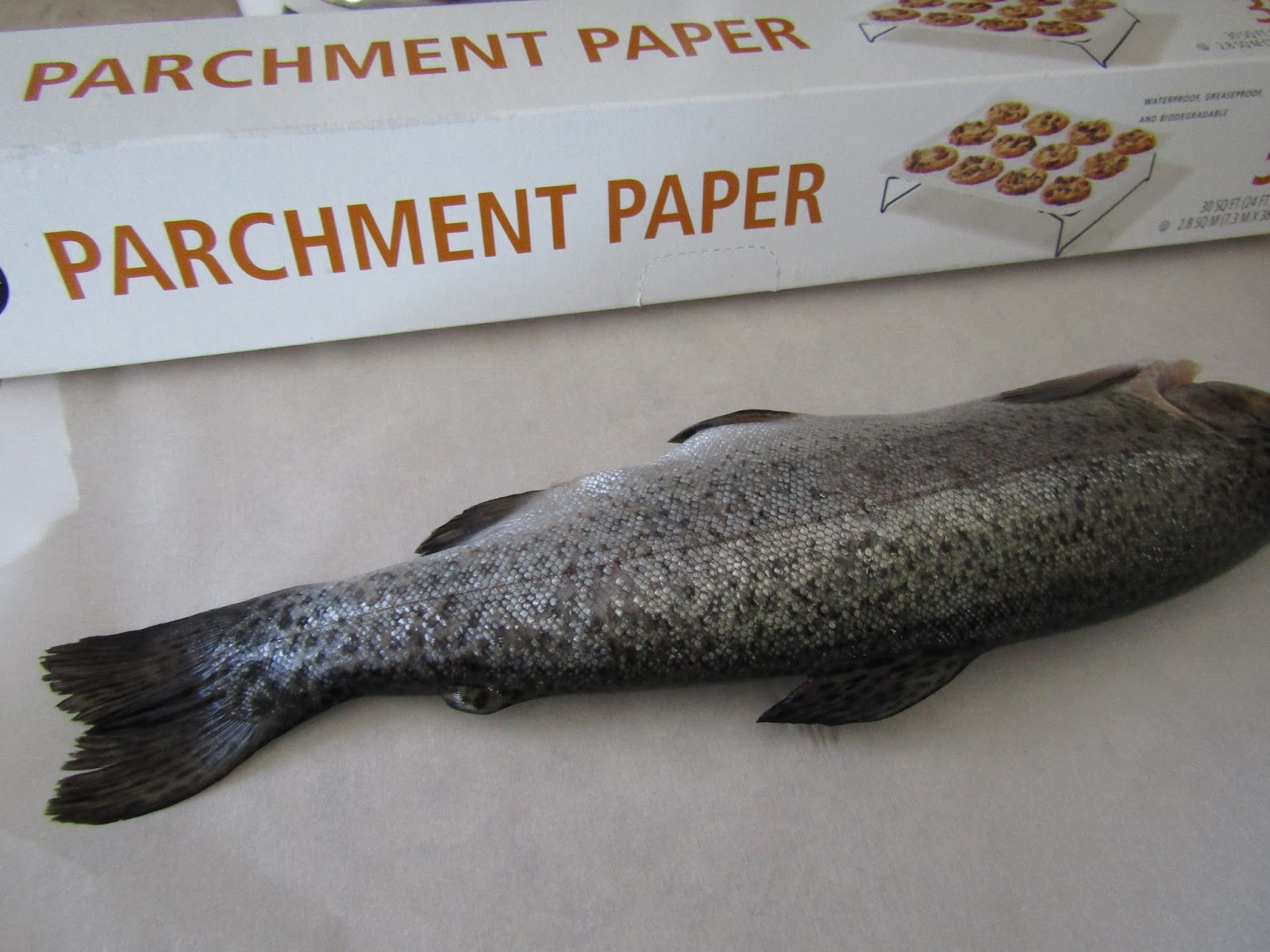 Maple Hill 101 Paper Trout