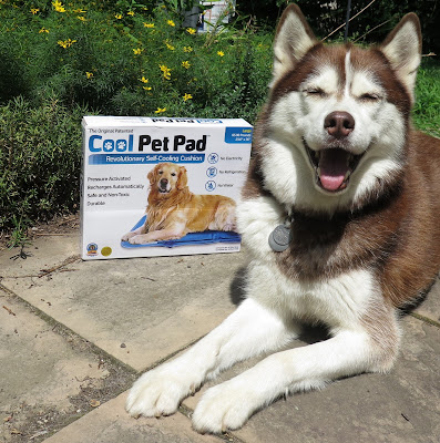 My Husky loves her Cool Pet Pad, Self Cooling cushion for dogs