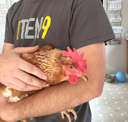 married chicken suburban simple