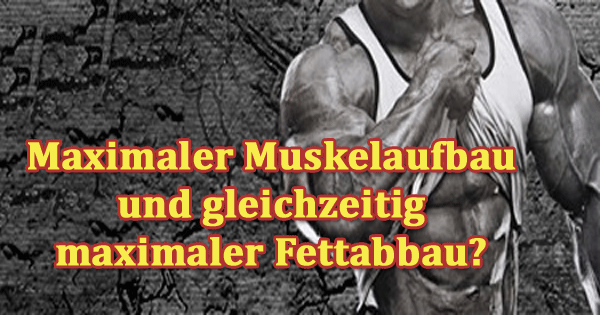 Fettabbau Muskelmasse